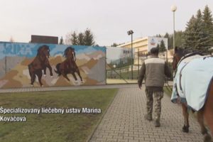 Slovenská televízia pripravila reláciu v rámci programu Moja diagnóza. Obsah bol venovaný detským pacientom, ktorí opakovane navštevujú Marínu s rôznymi neurologickými ochoreniami. Samotná relácia priblížila činnosť našich zamestnancov, rozsah našich metodík a procedúr, ktorými sa snažíme pomôcť deťom s DMO, ale aj inými neurologickými a ortopedickými ťažkosťami. Naša neskonalá vďaka a úcta patrí hlavne úžasným mamičkám, ktoré boli ochotné podeliť sa o svoje skúsenosti v starostlivosti o svoje deti s pohybovým hendikepom. Ďakujeme tiež štábu RTVS, ktorý veľmi citlivo zachytil atmosféru v našej Maríne. Veríme, že príbehy konkrétnych ľudí z tejto relácie budú povzbudením a inšpiráciou aj pre iné rodiny s podobnými osudmi.